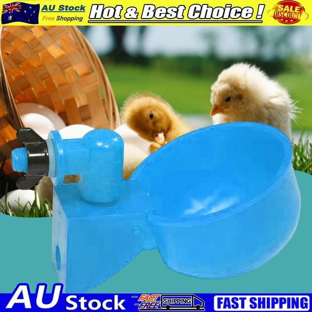6pcs Chicken Water Cup Convenient Automatic Chick Ducks Drinker Feeding Supplies