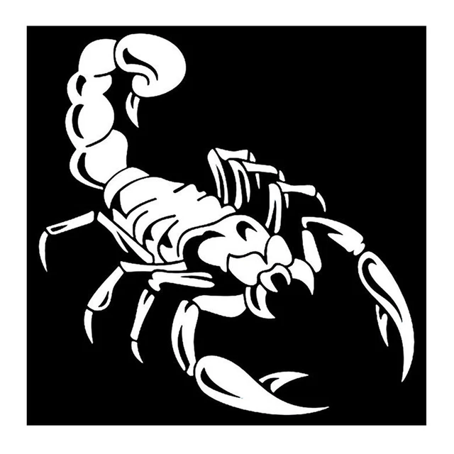Car Decoration 3D Scorpion Decal Sticker Cool Vinyl Sticker, White 40cm G6U4