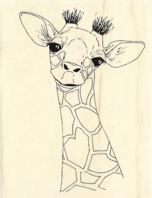 BABY GIRAFFE Wood Mounted Rubber Stamp Impression Obsession E13591 NEW