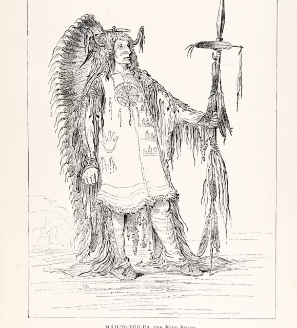 1885 Mandan Indian Second Chief Engraving Four Bears G. Catlin Native American