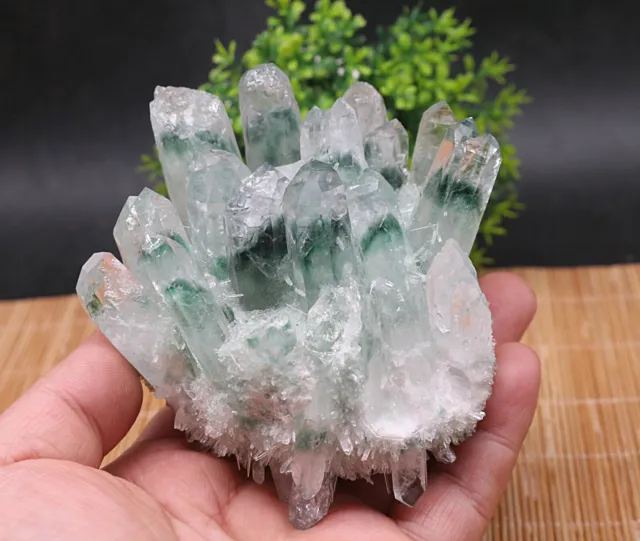 410g New Find Green Phantom Quartz Crystal Cluster Mineral Specimen Healing