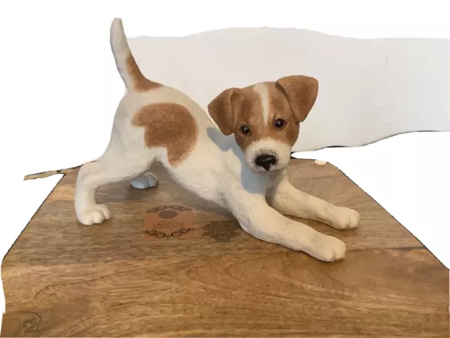 Jack Russell Terrier Puppy 2001 - Lenox Ready to play