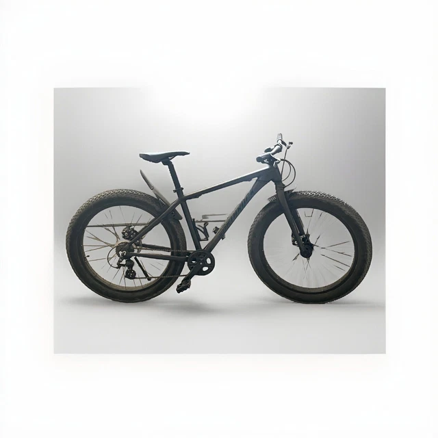 NORTHROCK XC00 FAT Bike 300.00 PicClick