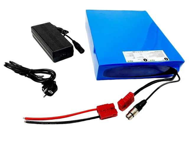 60V 20AH LI-ION pedelec e bike e-bike battery conversion kit battery ...