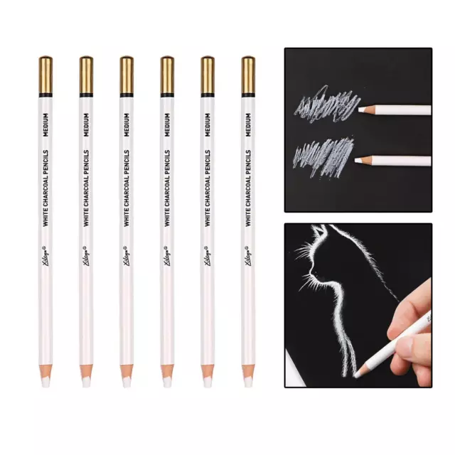 6 Pieces Charcoal Pencils Drawing Set, Gelly Roll Sketching Pens for Teens