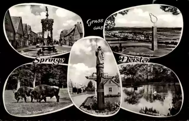 Springe Deister ~1950/60 Mehrbildkarte Marktplatz Markt Brunnen Volkspark Park