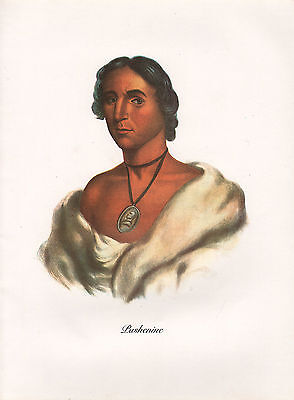 VINTAGE PRINT of 1830's NATIVE AMERICAN INDIAN ~ PASHENINE ~ CHIPPEWA