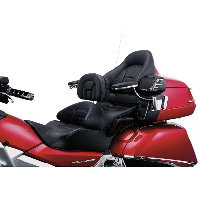 Kuryakyn Plug-N-Go Autista Schienale 08220232