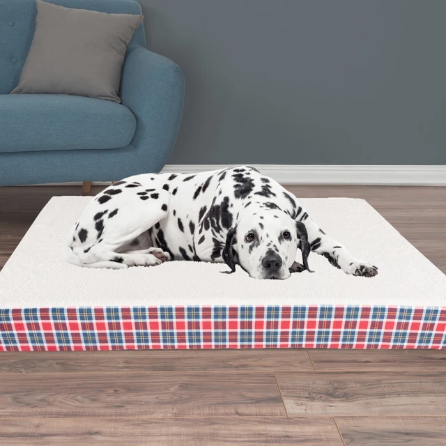 XL Dog Bed Orthopedic Memory Foam Zipper Cover 36 x 44 x 3.5 In