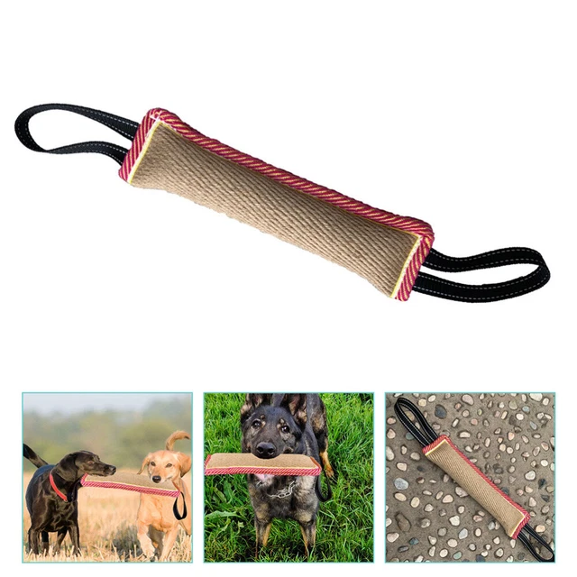 Aggressive Chewer Spielzeug Puppy Training Spielzeug Pet Ausbildung Peitsche