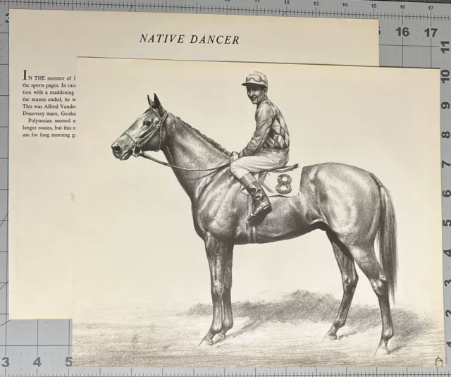 Native Dancer C W Anderson Vintage Race Horse Print From The Smashers See Photos
