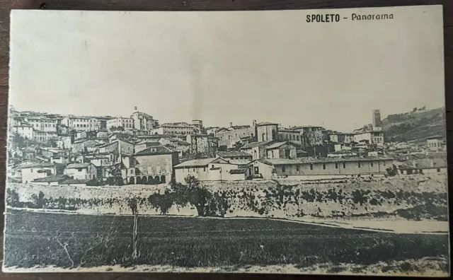 Cartolina Spoleto - Panorama - Viaggiata 1912