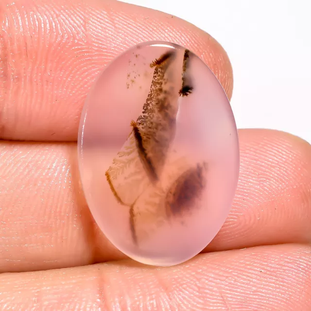 09.50 Cts. Fantastic Scenic Dendritic Agate Oval 22X15X2 MM Cabochon Gemstone 2