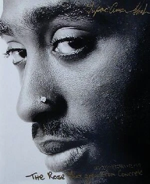 Rose Blooming On Concrete Tupac Amal Shakur Author Hiroko Onoki Translator
