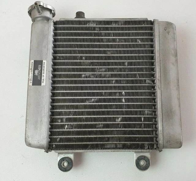 Radiatore Honda Honda Pantheon 125 2t Ricambi RADIATORE
