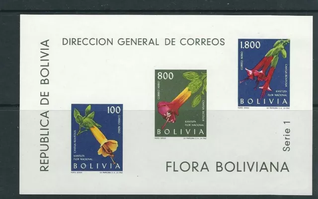 Bolivia 1962 Orquídeas Flores Pintada Souvenir Hoja (Scott C239a) VF MNH