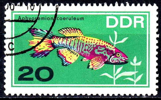 Deutschland DDR gestempelt Tier Fisch Gebänderter Prachtkärpfling Afrika / 5341