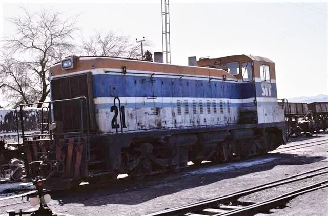 SIT 21 Maria Elena in CHILE__ ORIGINAL ZUGRUTSCHE