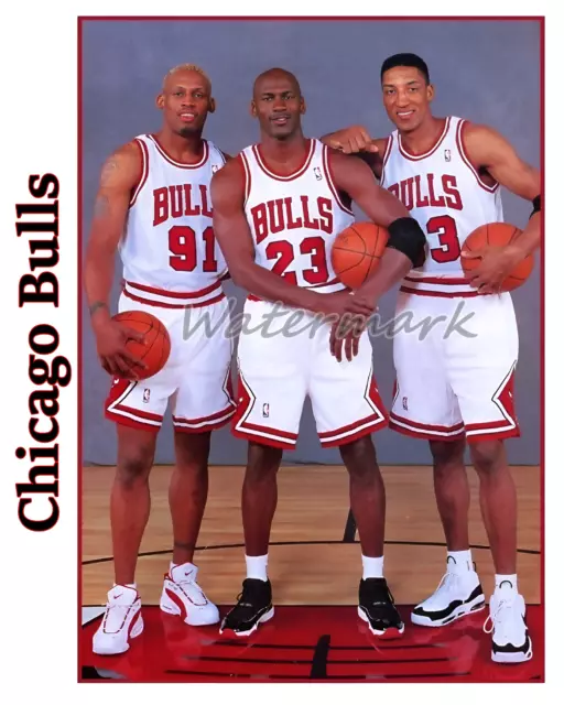 Dennis Rodman Chicago Bulls 12 x 15 Hardwood Classic Sublimated Player Plaque