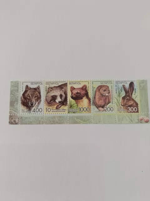 francobolli Animali Serie Completa Nuova, Bielorussia