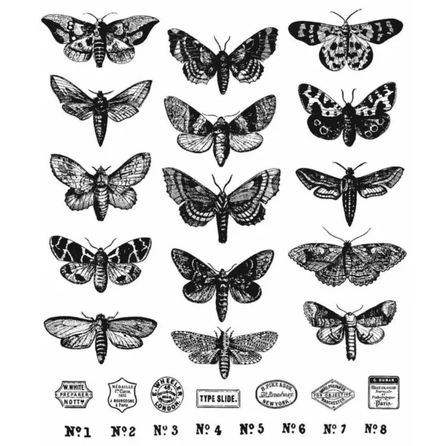 Tim Holtz Stampers Anonymous Cling Stamps - Moth Study