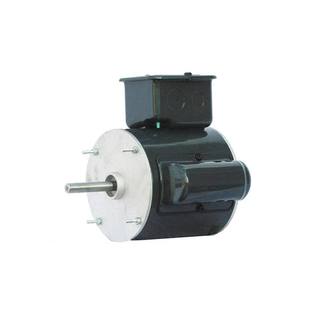 DAYTON 41NL03 Motor,1/20 HP,1550,Non-Standard,115V