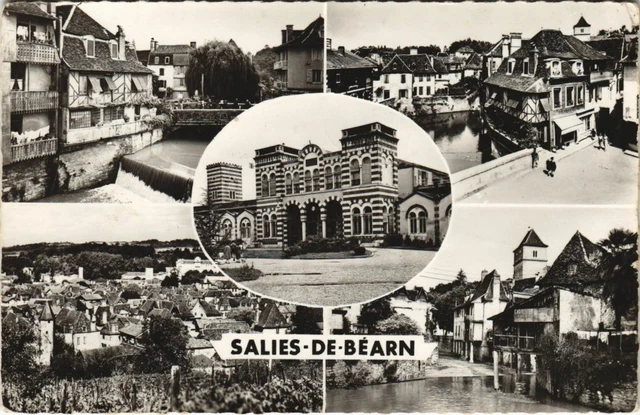 CPA AK Salies de Bearn Souvenir FRANCE (1109710)