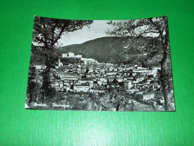 Cartolina Spoleto - Panorama -- 1956