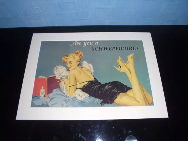 Vintage Schweppes  Print