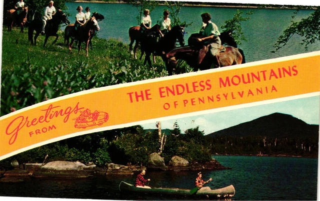 Vintage Postcard- 7827. ENDLESS MOUNTAINS PA. UnPost 1960