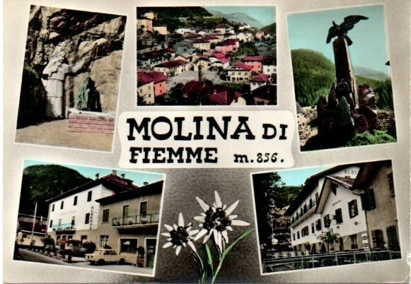 Trentino. Trento. Molina di Fiemme m. 856 Viaggiata 1963 con francobollo