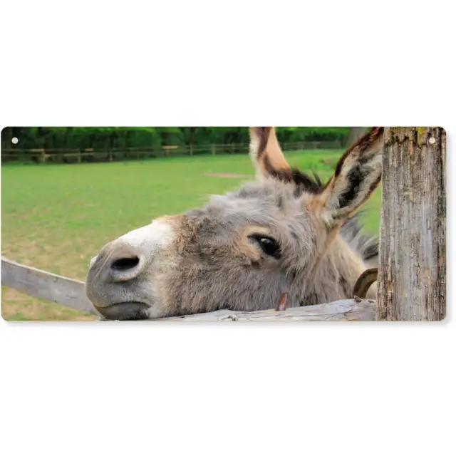 'Donkey Head At Fence' Large Wooden Wall Plaque / Door Sign (DP00004884)