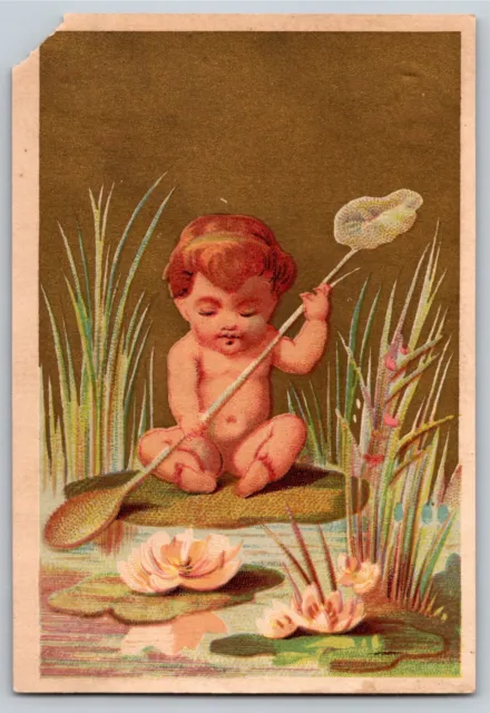 Infant Plays With Lilly Pads Near Water Blank Trade Card - Floral w/ Gilt