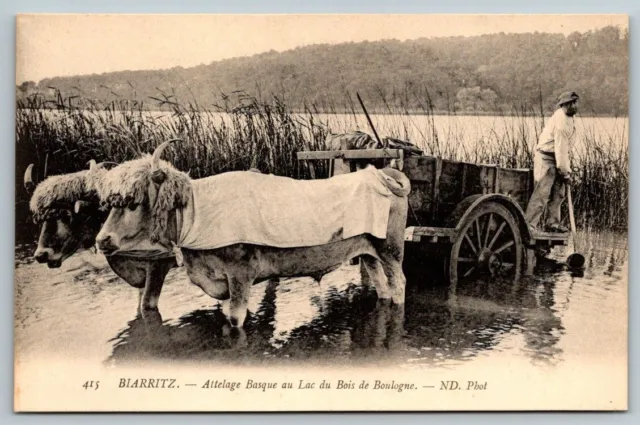 Biarritz  Spain   Attelage Basque au Lac  du Bois de Boulogne  Postcard
