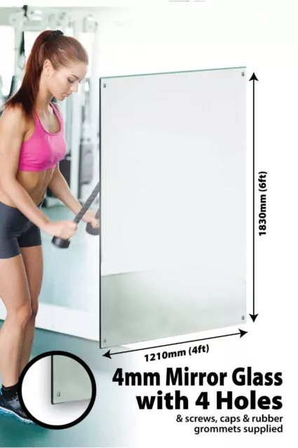 Large Wall Mirror 6Ft X 4Ft 183 X 121cm Glass With 4 Holes Home Gym Dance Studio