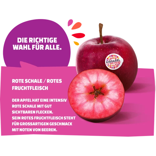 KISSABEL® ROUGE ÄPFEL aus dem Alten Land, Klasse I, 2,2 8 Kg, NEUE