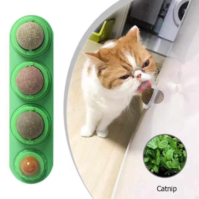 New Cat Toys Natural Interactive Cat Mint Rotatable Catnip Balls