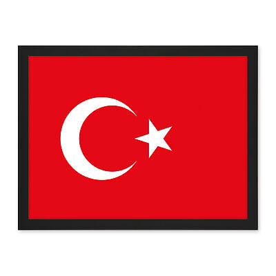Póster de país con bandera nacional de Turquía estampado artístico 18X24