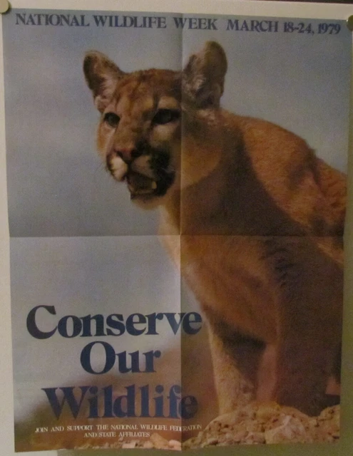 1970's American Wildlife Posters & Literature from Nat'l Wildlife Foundation