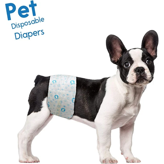 Disposable Diaper Male Dog Super Absorbent & Leak Proof 40pcs Pet Pull-ups Pants