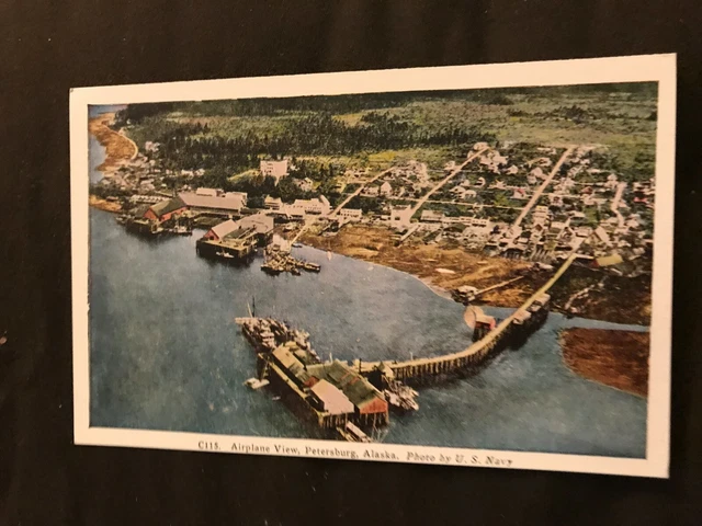 VINTAGE POSTCARD Airplane View Petersburg Alaska #C115