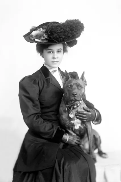 Victorian Era... Woman Holding a Bulldog c.1900s ...  Photo Reprint 8x12
