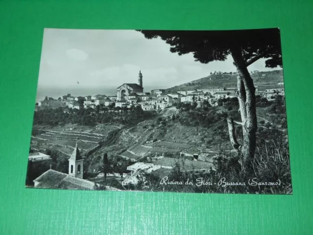 Cartolina Riviera dei Fiori - Bussana ( Sanremo ) - Veduta 1958