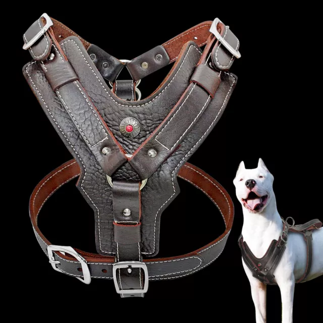 Genuine Leather Dog Harness Large Breed & Handle Heavy Duty Rottweiler Pitbull