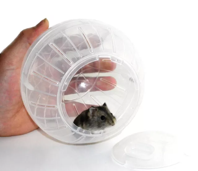 Plastic Pet Rodent Mice Jogging Ball Toy Hamster Gerbil Rat Exercise Balls Play 2