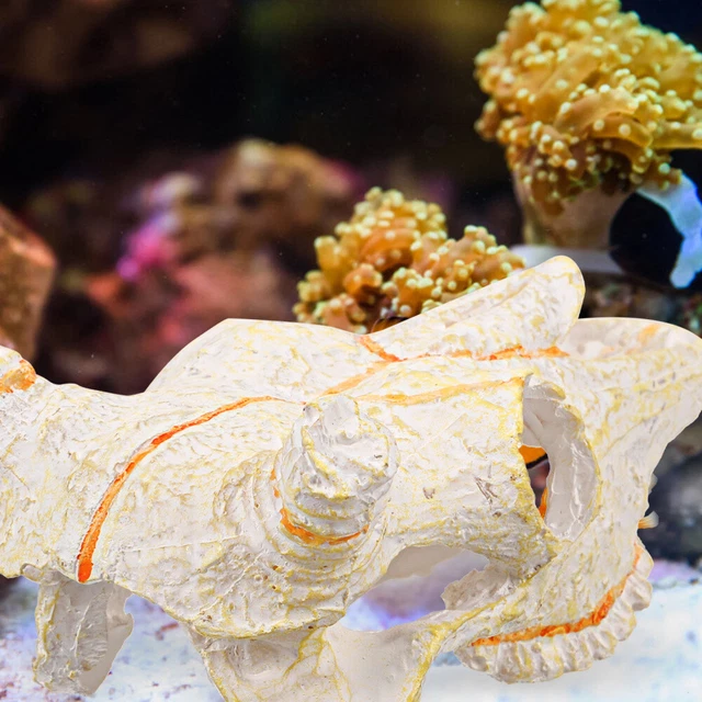 Cachette Crevettes Céramique Pour Aquarium - 16,5x10x7,5 Cm - Décor Fonctionnel Pour Poissons, Crevettes, Petits Habitats
