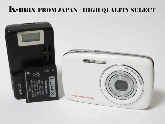 PANASONIC LUMIX S1 White Compact Digital Camera Tested [No English
