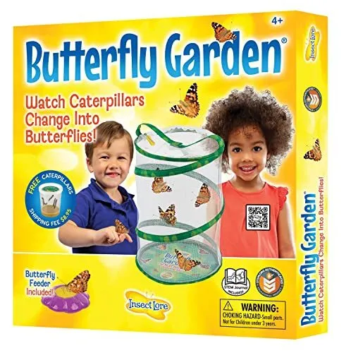 Insect Lore - Butterfly Growing Kit - Butterfly Habitat Kit with Voucher to R...