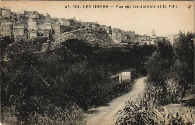 CPA AK MAROC MOULAY-IDRISS Vue sur les jardins et la Ville (10784)