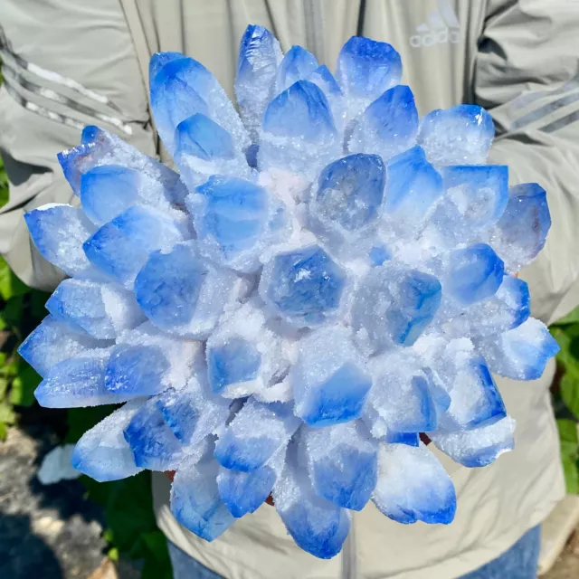 11LB New Find BLUE Phantom Quartz Crystal Cluster Mineral Specimen Healing